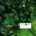 carre_ARC_unir_les_territoires_face_au_climat_1080x1080px