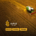 carre_Surus_Connect_conception_identite_visuelle_site_1080x1080px
