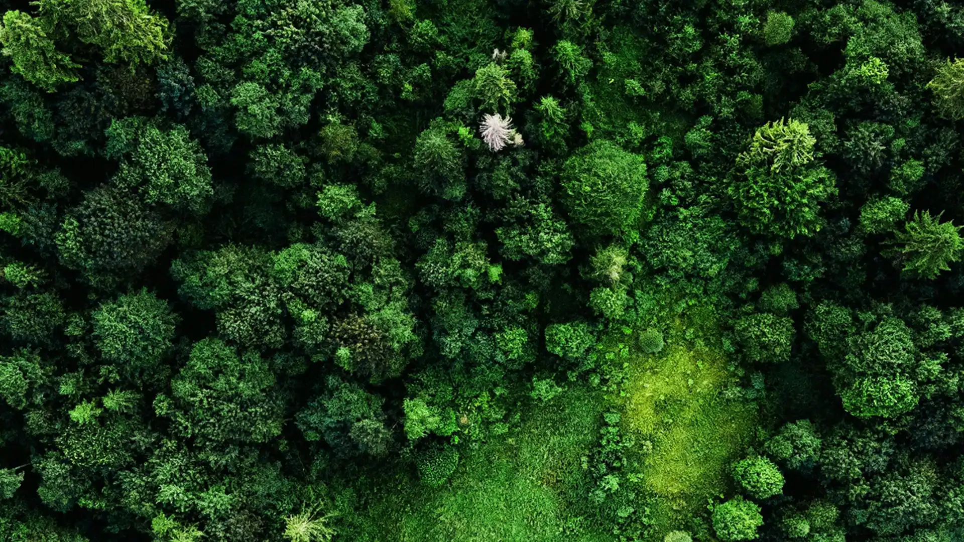 header_ARC_unir_les_territoires_face_au_climat_1920x1080px