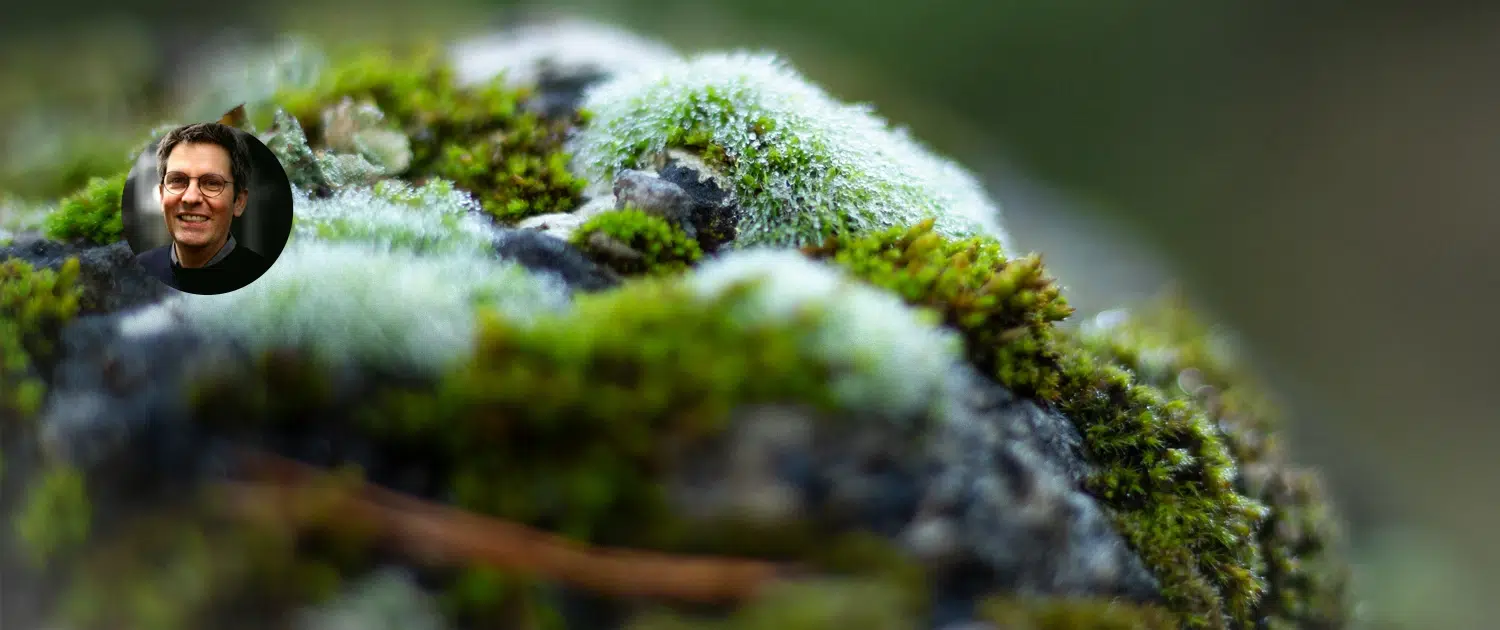 Blog_header_1500x630_Robustesse_la_durabilite_qui_encaisse_les_chocs_2 (1)