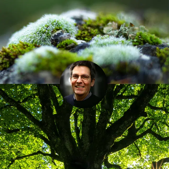 Blog_une_705x705_Robustesse_la_durabilite_qui_encaisse_les_chocs (1)